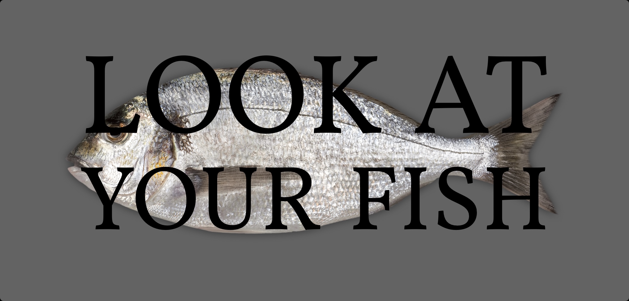 A picture of a dead, silver-scaled fish against a plain grey background, with the text &ldquo;LOOK AT YOUR FISH&rdquo; overlaid on it in black letters.